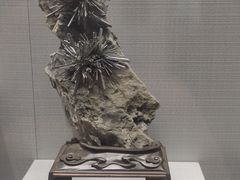 -湖南省地质博物馆