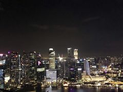 -新加坡丽思卡尔顿美年酒店