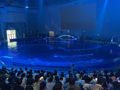 -石家庄极地海洋世界