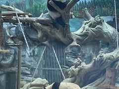 -武汉动物园