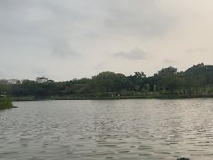 -东莞植物园