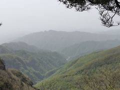 -牛背梁国家森林公园