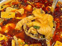 -关里关外·鱼头泡饼(唐冶绿地汇店)