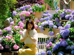 -上海鲜花港
