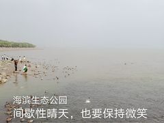 -深圳湾公园(南山区)