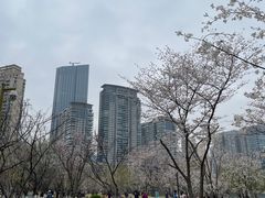 -西北湖绿化广场