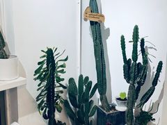-收获咖啡HARVEST RESERVE(苍山店)