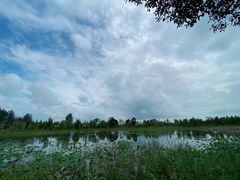 -泗洪洪泽湖湿地景区