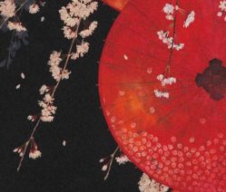 -凡碧诗毛孔收细