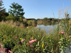 -福田红树林生态公园