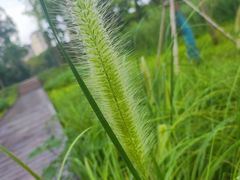 -昆山城市生态森林公园