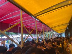 -将军关探险漂流