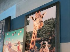 -Wagas沃歌斯(大学路店)