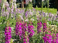 -广州市白云山风景名胜区