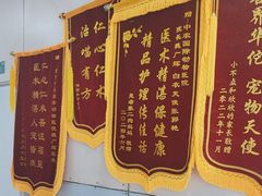 -中农国际动物医院24小时·猫科·骨科·急重症中心