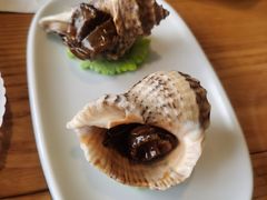 鸿山角螺-小堂宴·老厦门码头小炒(厦大店)