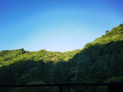 -朝阳沟