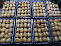 猕猴桃-菜园坝水果市场