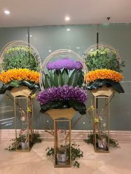 -皇家月府月子中心(沈阳店)