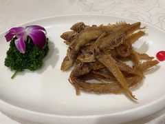 -金米箩大酒店(五角场店)