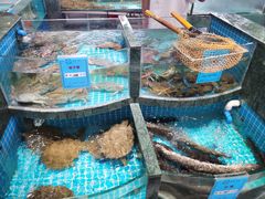 -紫阳富豪大酒店(惠南店)