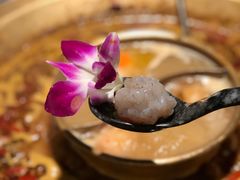 -哥老官重庆美蛙鱼头(龙湖杭州金沙天街店)