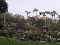 -莲花山公园