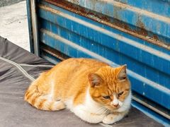 -TripSmith(余家巷店)