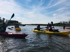 -春花秋色城市公园