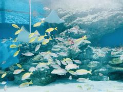 -海合安成都极地海洋公园