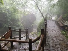 -青峰峡国家森林公园