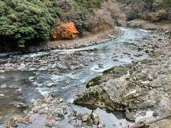 -岚山嵯峨野观光小火车