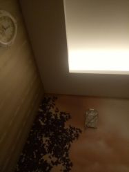 -佐登妮丝美容SPA生活馆