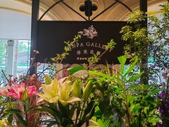 -深圳威尼斯英迪格酒店-邻芙花廊下午茶·NINFA GALLERY·蛋糕·咖啡