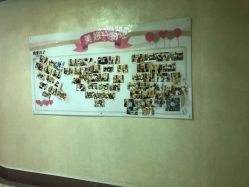 -生命加•Q考拉月子会所(玫瑰园店)