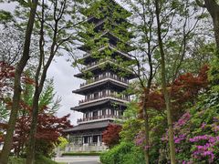-宜兴龙背山森林公园