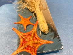 -千岛蚝高压锅生蚝·人参火锅(白云万达店)