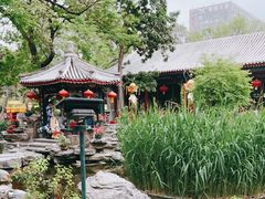 -白家大院·王府宫廷菜(苏州街店)
