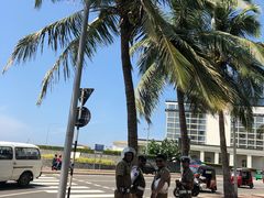 -Ministry of Crab(科伦坡店)