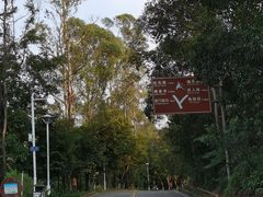 -大雁山风景区