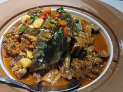 -洞庭家宴·头牌甲鱼(广渠门店)