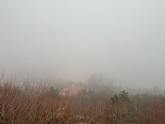 -青岛海滨风景区小鱼山