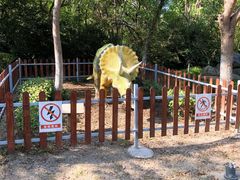 -上海海湾国家森林公园