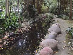 -成都市活水公园
