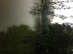 长乐公园-西安市长乐公园