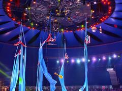 -中国马镇舞马世界主题乐园