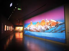 -罗红摄影艺术馆