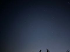 -海南清水湾莱佛士酒店