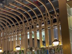 -原味四季椰子鸡(平湖天虹店)