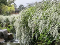 -中国茶叶博物馆(双峰馆区)